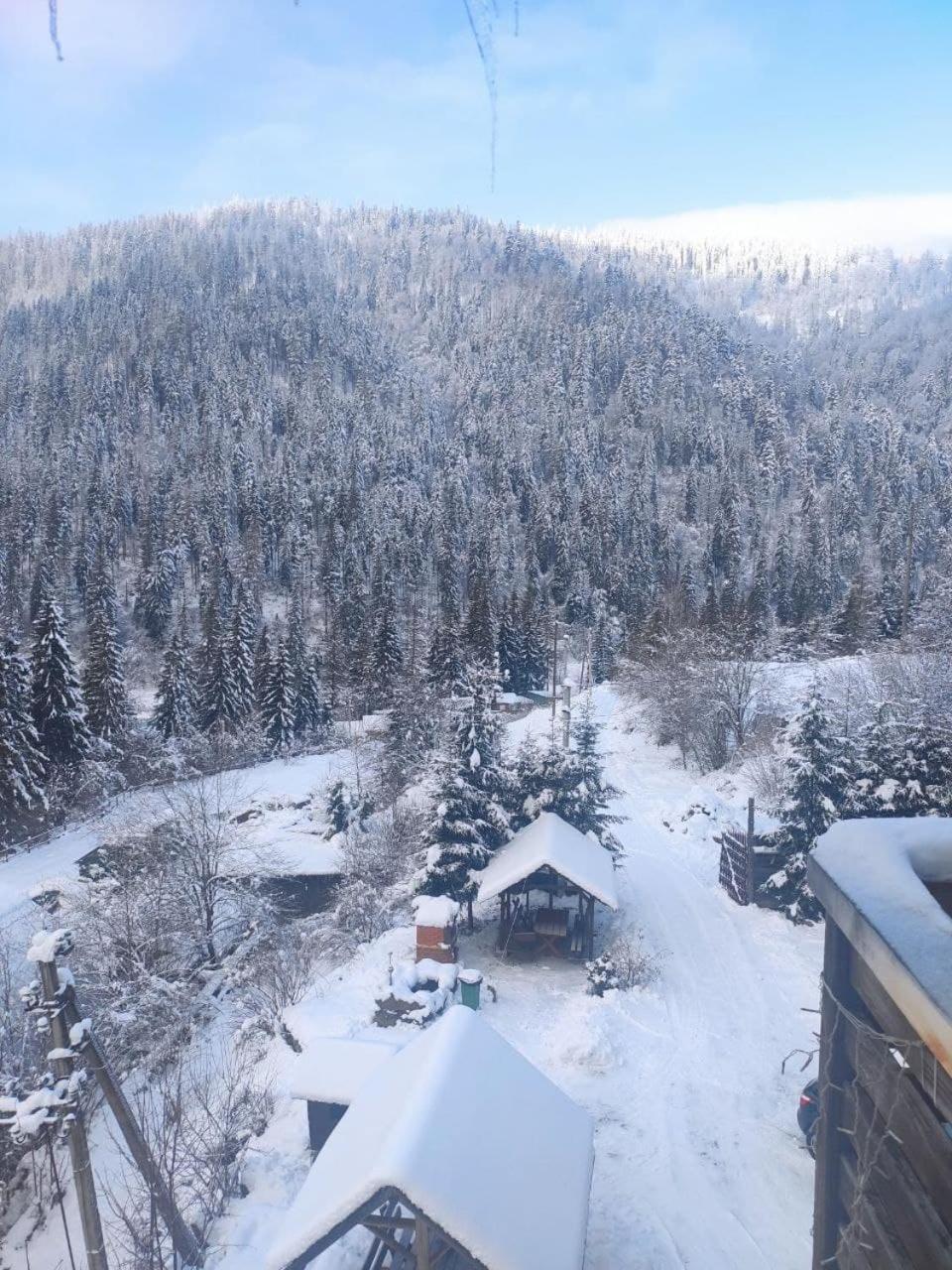 Біля Витягу Slavske Bilik gambar