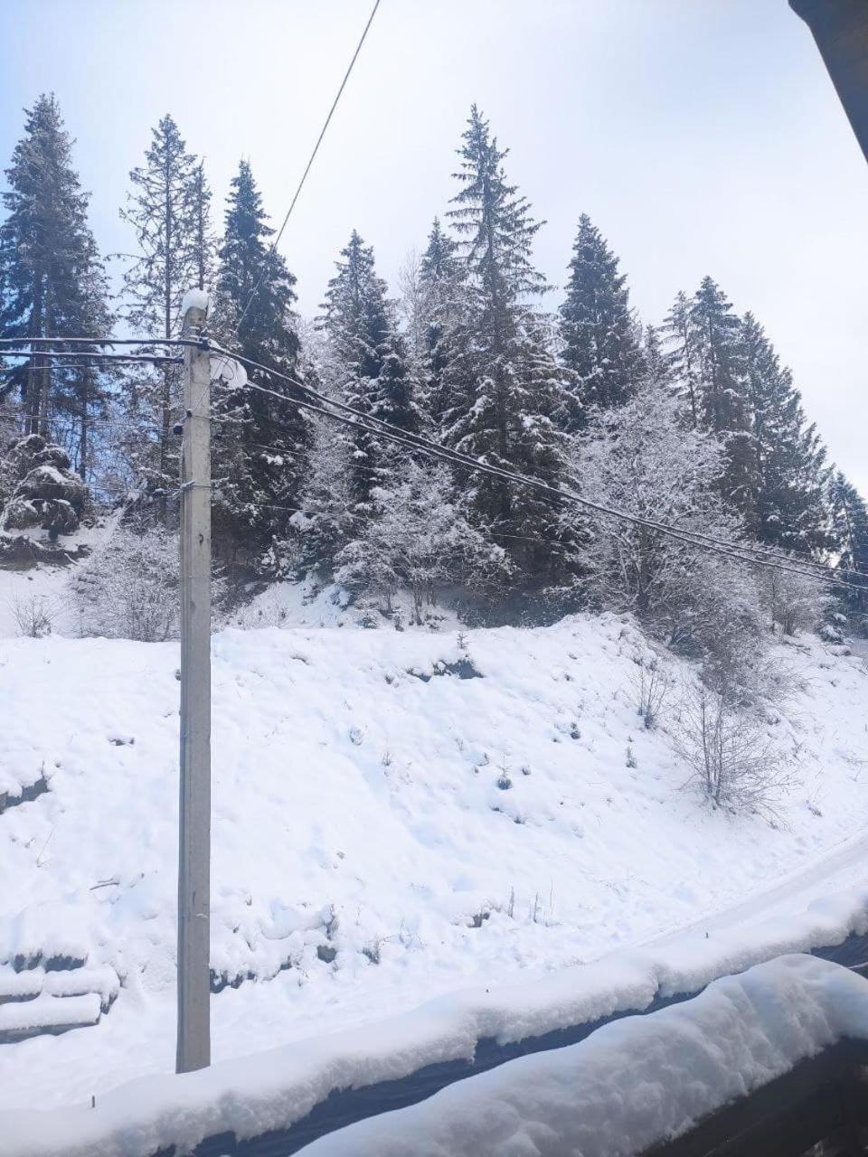 Біля Витягу Slavske Bilik gambar